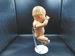COMPO BABY NUDE VIEW
